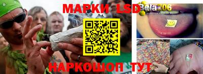 бошки Дубна