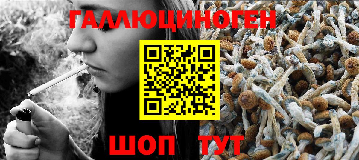 Набережные Челны  купить закладку  Вход с VPN  Галлюциногенные грибы мухоморы 